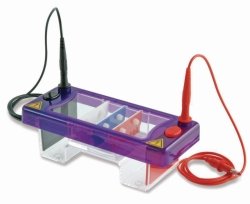 Gel electrophoresis tank MultiSUB Mini Duo-Set | Type : MultiSUB Mini Duo-Set